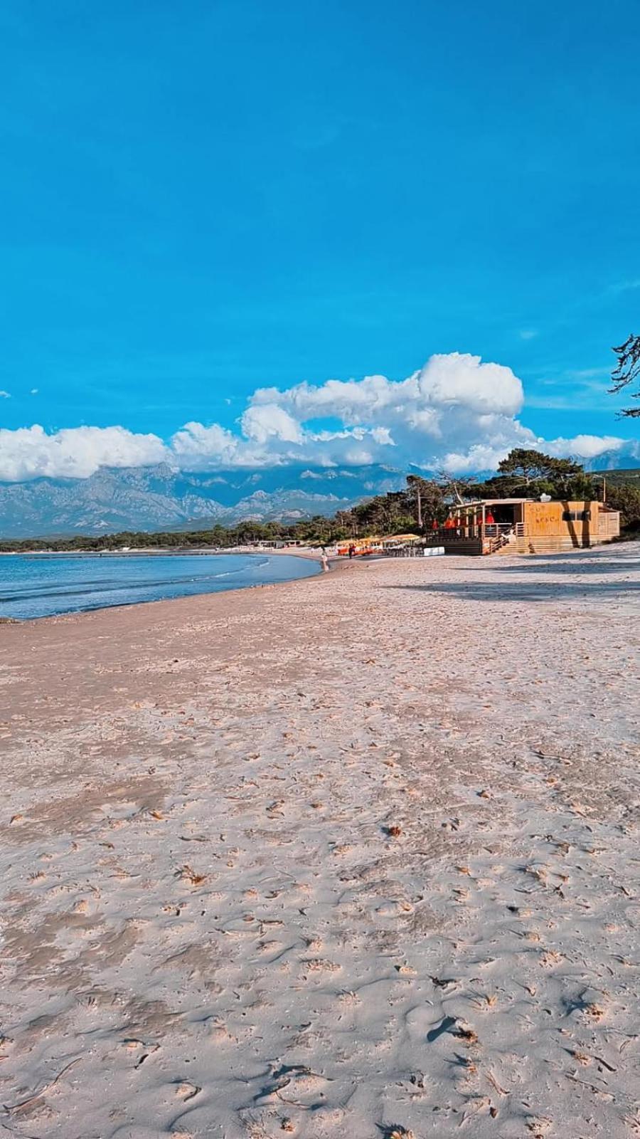 Studio proche de la mer Calvi  Esterno foto